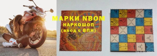 крисы Ростов
