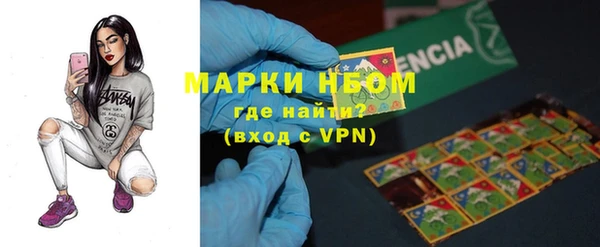 крисы Ростов