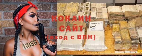 крисы Ростов