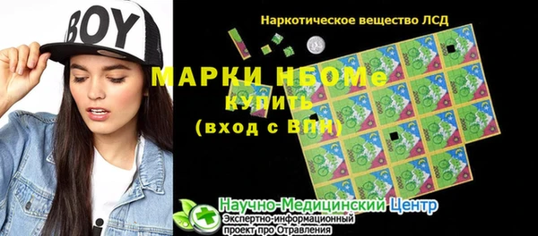 крисы Ростов