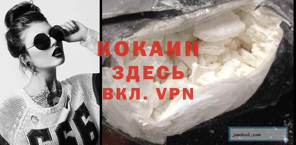 крисы Ростов