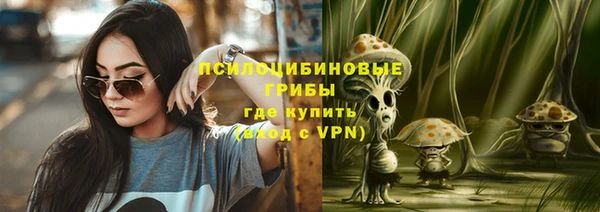 крисы Ростов